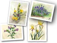 floralCards